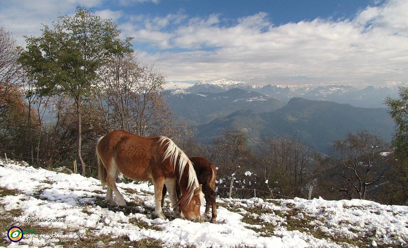 15 Panoorama da Sclapa....JPG